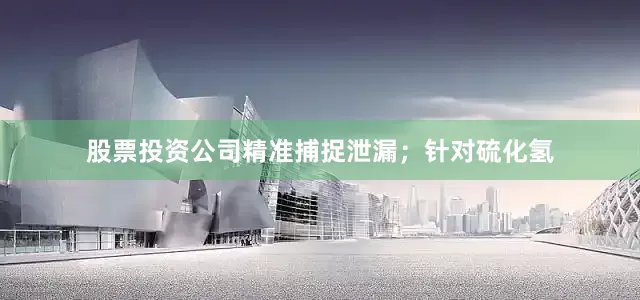 股票投资公司精准捕捉泄漏；针对硫化氢