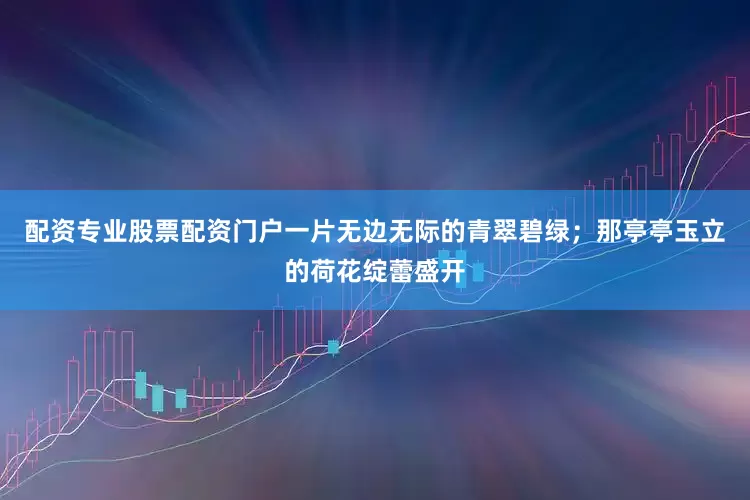 配资专业股票配资门户一片无边无际的青翠碧绿；那亭亭玉立的荷花绽蕾盛开